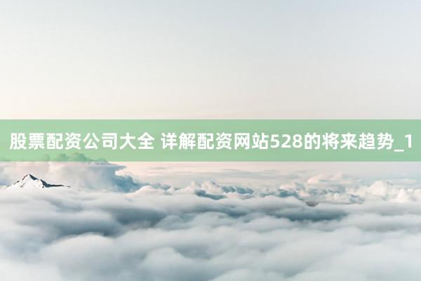 股票配资公司大全 详解配资网站528的将来趋势_1