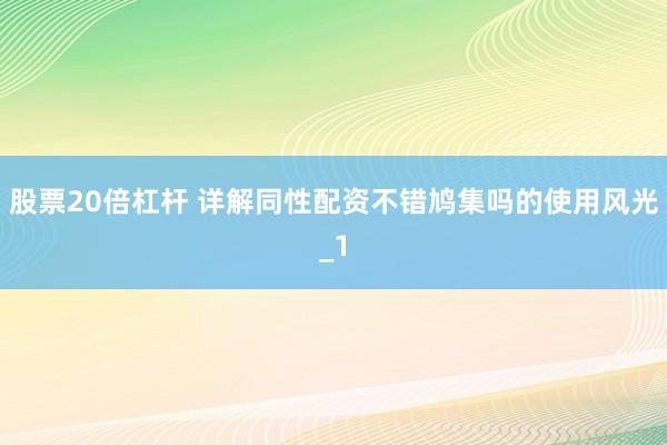 股票20倍杠杆 详解同性配资不错鸠集吗的使用风光_1
